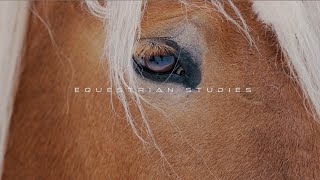 RMC Equestrian Studies Visit [upl. by Ybba168]