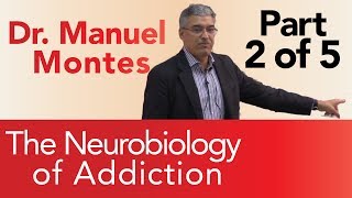 Dr Montes Neurobiology of Addiction Part 2 of 5  The Treatment Center [upl. by Langdon]