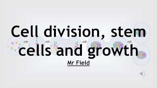 GCSE Biology 08  Cell division and growth [upl. by Hosfmann843]