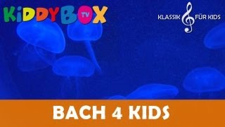 Mozart Bach Chopin  Klassik für Kinder  Blaue Tiefe KIDDYBOXTV [upl. by Hsiekal823]