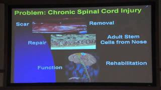 The Usefulness of Adult Olfactory Stem Cells in Spinal Cord Injury and Brain Injury [upl. by Valerian]