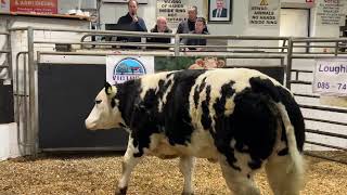 €4700 for maiden heifer  Gabriel Sloyan [upl. by Annyrb871]