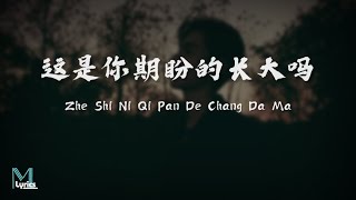 ZQS  Zhe Shi Ni Qi Pan De Chang Da Ma 这是你期盼的长大吗 Lyrics 歌词 PinyinEnglish Translation 動態歌詞 [upl. by Obaza]