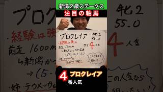 【新潟２歳ステークス 注目の軸馬‼️】4番人気でオッズがおいしい！ 競馬 競馬予想 プロクレイア 新潟2歳ステークス [upl. by Eneluj62]