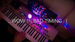 TMTQ  BEHRINGER model D  Old School Funk  with the incedible dazzling disco light HQ Audio [upl. by Clywd]