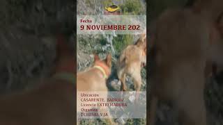 Temporada Monterias Hornady 2425 hornady monterias jabalí [upl. by Eannaj]