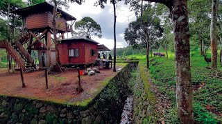 Deep Forest Stay  Periyar Tiger Reserve Thekkady  Edappalayam Watch Tower Part 1  DotGreen [upl. by Haleemaj]