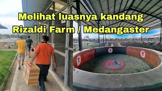 Luasnya Kandang Ternak Rizaldi Farm Medan [upl. by Deb999]