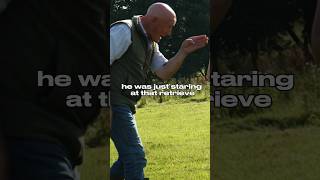 Gun dog training dog gundog dogtraining [upl. by Anaoj]