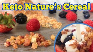 🥣 Crunchy Keto Nature’s Cereal  Viral Tik Tok Trend  Original Keto Cereal Idea  Shorts [upl. by Alana]