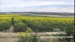 film tour de plaine pour la chaine agricole [upl. by Solhcin]