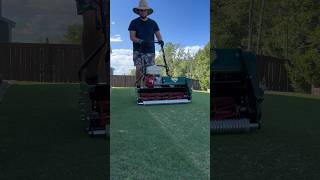 Mowing My Backyard Putting Green Tifway putting green with my California Trimmer Catalyst [upl. by Anirpas54]