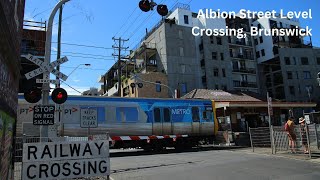 Albion St Level Crossing Brunswick  Melbourne Metro Railway Crossing [upl. by Eelibuj]