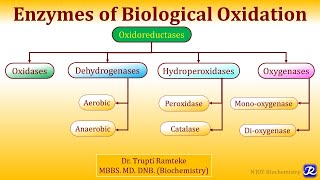 1 Enzymes of Biological Oxidation  Biological oxidation  Biochemistry  NJOY Biochemistry [upl. by Yffat]