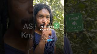 Zone out of real life and into the forest with an ASMR experience of the luscious Knysna forest🌲🌿 [upl. by Mita]