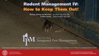 Rodent Management IV How to Keep Them Out [upl. by Yrok]