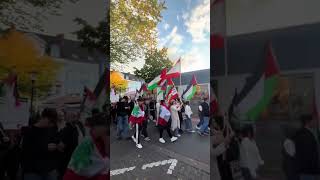 Free🇨🇦🇵🇸hameln demo Olaf Scholz [upl. by Linzy55]