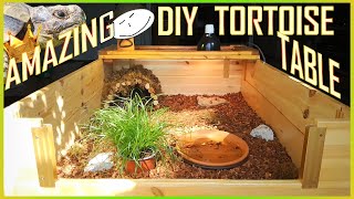 HOW TO MAKE AN AMAZING TORTOISE TABLE  ULTIMATE DIY Reptile Enclosure [upl. by Southworth]