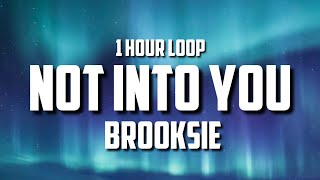 Brooksie  Not Into You 1 HOUR LOOP Tiktok song [upl. by Lontson]