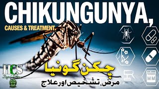 Chikungunya Causes amp Treatment 💊🦟 [upl. by Garneau]