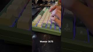 Womier SK75 Typing Sound  Womier POM Mint BlizzardTaro Switches [upl. by Aguie611]