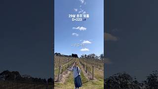 29살 호주워홀 D223 bowral 나들이 기록 sydney driving travel 시드니 dailyvlog australia 🇦🇺 [upl. by Inalaek]