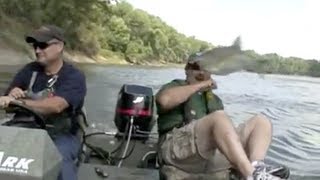 Asian Silver Carp in Indiana [upl. by Shaine]