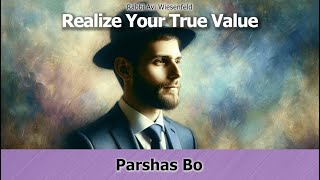 🗣 Rabbi Avi Wiesenfeld 📜 Bo 💎 Realize Your True Value [upl. by Siravart789]