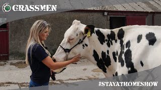 GRASSMEN StayAtHomeShow  Livestock with Kirstie  Ards Holsteins [upl. by Gilbertine]