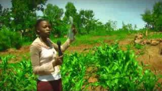 Organic Farming in Western Province  Kenya [upl. by Nickey]