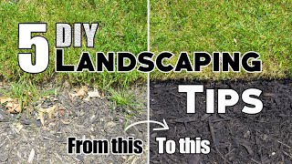 5 Cheap amp Easy DIY Landscaping Tips amp Ideas Plus Bonus Tips 🌱 [upl. by Shaeffer]