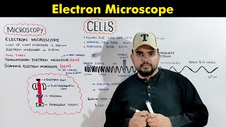 Electron Microscope Transmission and Scanning Electron Microscope O amp A Level Biology [upl. by Orms188]