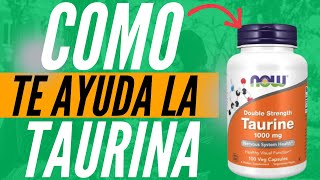 Descubre Que Hace La TAURINA En Tu Cuerpo [upl. by Austina]