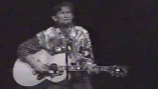 Townes Van Zandt  Brother Flower [upl. by Carolyn]