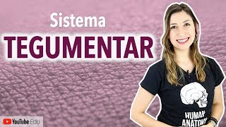 Sistema Tegumentar 14 Introdução  Anatomia etc [upl. by Anselme82]