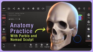 Anatomy Practicing with Parblo Intangbo SW [upl. by Maisel212]