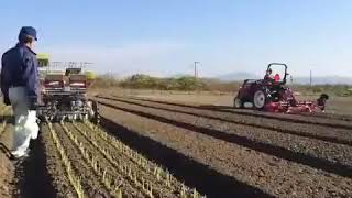 Awesome😮 automated vegetable seedling planters [upl. by Noynek482]