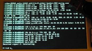 Running FFMPEG Mplayer and DOSBox under HX DOS Extender [upl. by Araic]