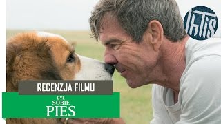 Był sobie pies A Dogs Purpose recenzja filmu [upl. by Aratnahs]