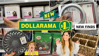 Dollarama Dollar Store Canada New FINDS dollarama dollaramacanada dollaramafinds shopping [upl. by Siuqaj]