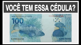 100 REAIS QUE PODE ESTAR COM VOCÊ CONFIRA NO VÍDEO [upl. by Armin]