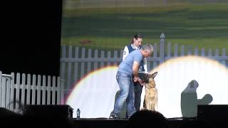 cesar millan live in ahoy quotgerman sheppardquot [upl. by Anuahsal34]