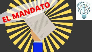 EL CONTRATO DE MANDATO  PODER [upl. by Kaufmann]