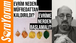 SoruYorum  Evrim Neden Müfredattan Kaldırıldı Evrime Nerden Başlamalı [upl. by Pace]