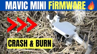 DJI MAVIC MINI CRASH  twice [upl. by Oehsen551]