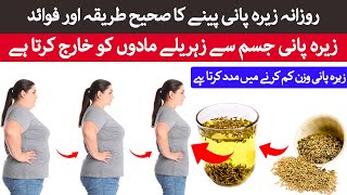 Rozana Jeera Water Peene Ke Fayde  Cumin Seeds Water Benefits [upl. by Oria108]