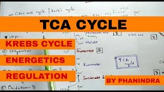 TCA cycle  WITH STRUCTURES  l Krebs cycle  Citric acid cycle CAC  Energetics  Regulation [upl. by Legra]