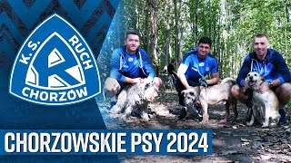 Chorzowskie Psy 2024 [upl. by Rot]