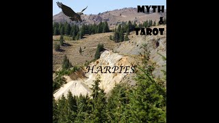 Myth amp Tarot Harpies [upl. by Leahcim]