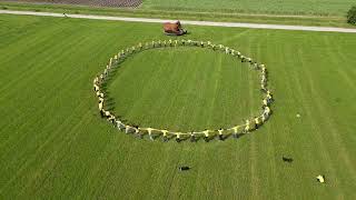 Gezamenlijke start Eeuwfeest 100 jaar biodynamische landbouw [upl. by Anaujit]